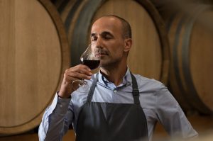 Wine Production and Quality in Bulgaria